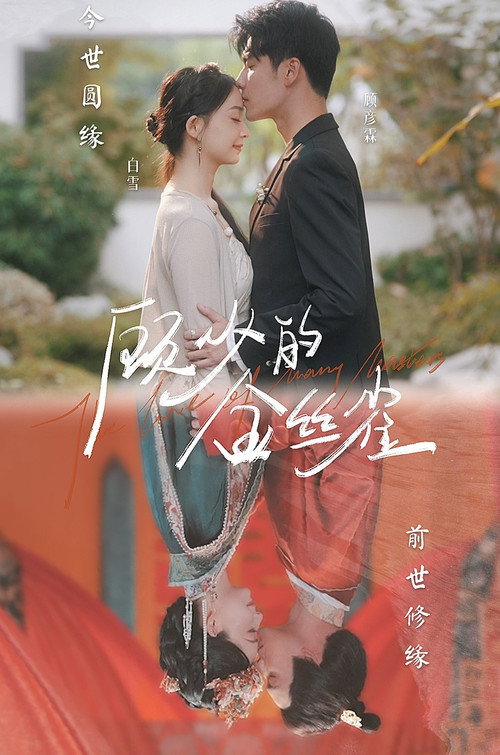 顾少的金丝雀电影海报