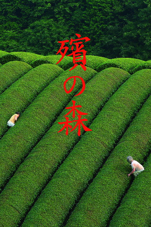 殡之森电影海报