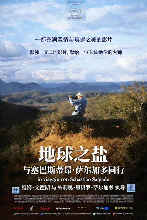 地球之盐电影海报