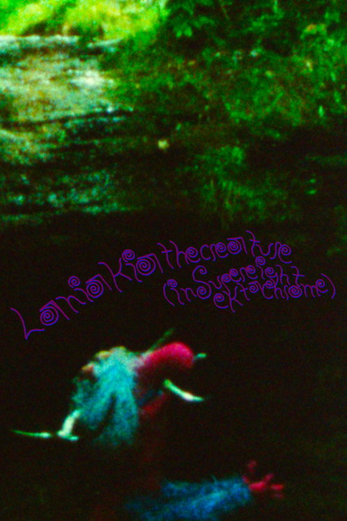 Laniakea the creature (in super 8 Ektachrome)