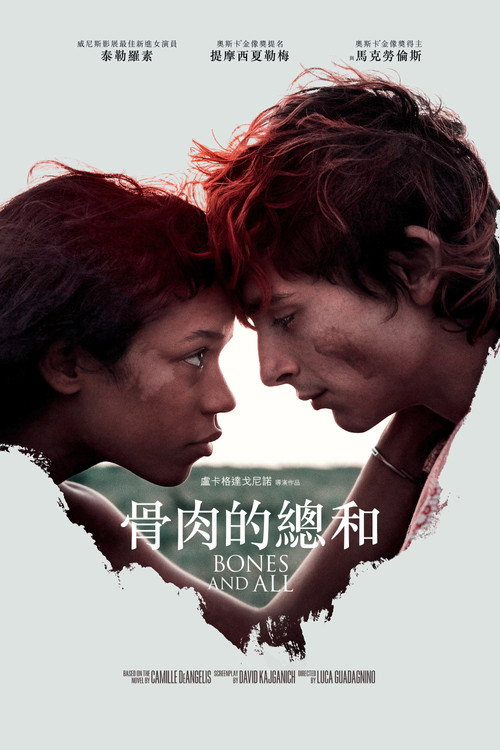 骸骨及一切电影海报