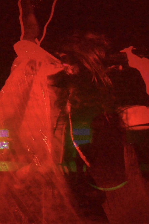 Concert Reels from November (mostly)电影海报