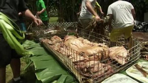 Carnivore Chronicles 17: Adventures with Pork