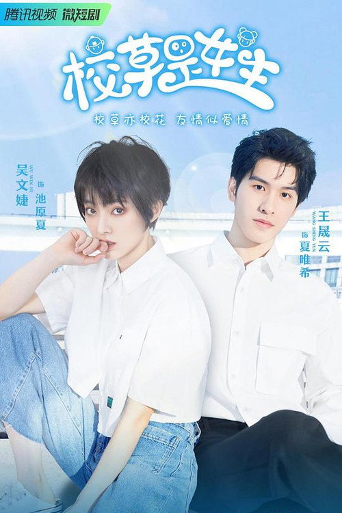 The School Hunk is a Girl poster 2