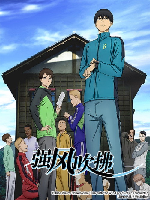 强风吹拂电影海报