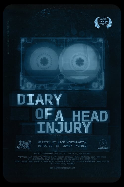 Diary+of+a+Head+Injury