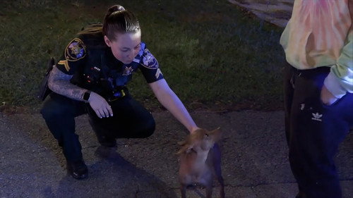 On Patrol: Live第4季第64集