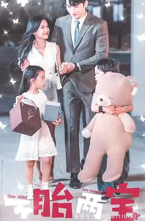 一胎两宝爹地妈咪又怀了电影海报