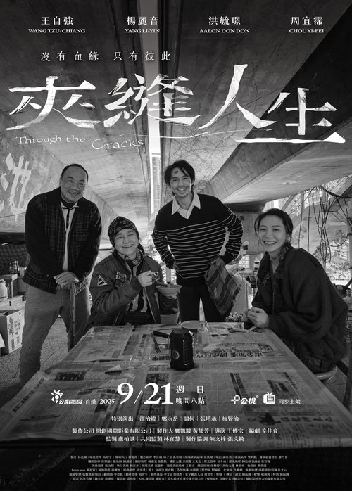 Through the Cracks Poster