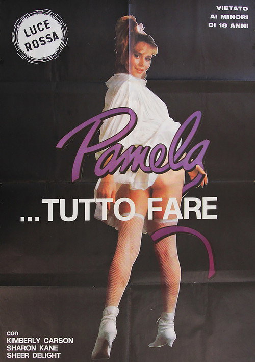 A Passage Thru Pamela poster 3
