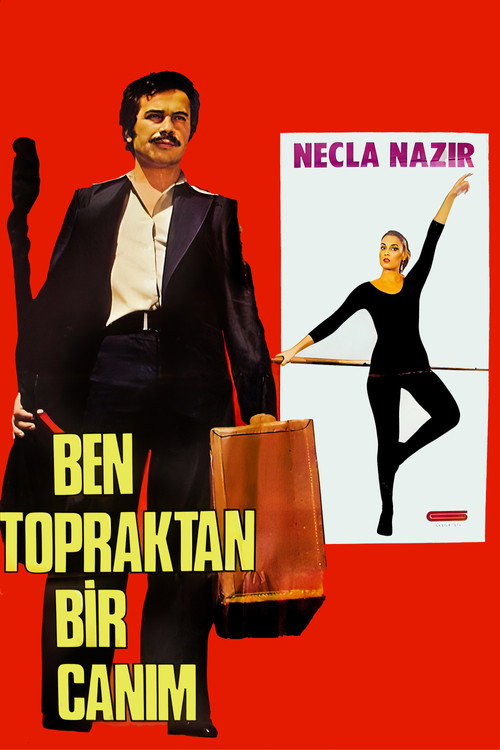 Ben Topraktan Bir Canım poster 3