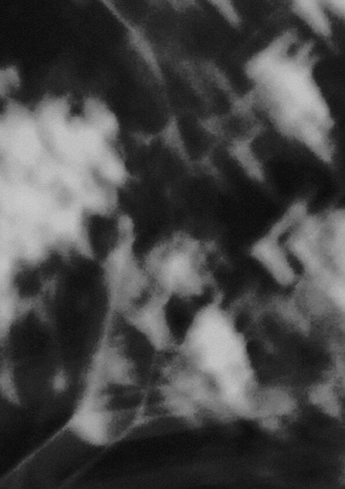 Portions of Light, A Section