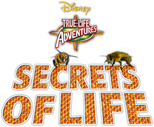 movies