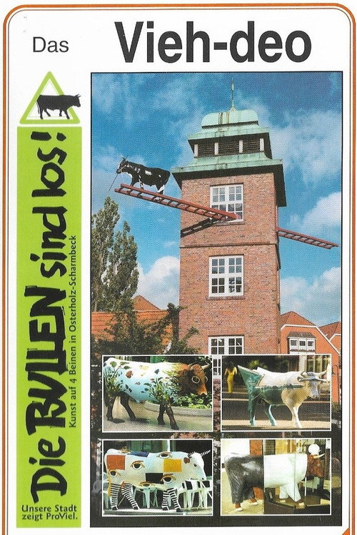 Das Bullen Vieh-deo