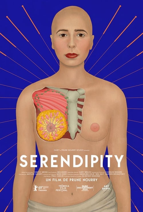 Serendipity (2019) PelículA CompletA 1080p en LATINO espanol Latino