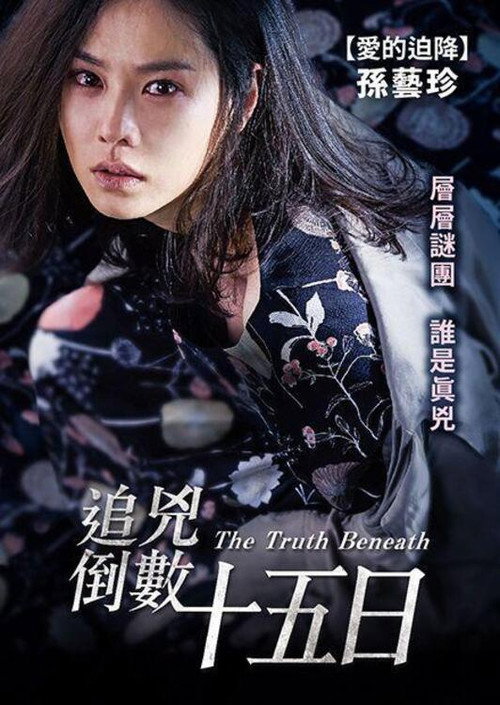 没有秘密电影海报