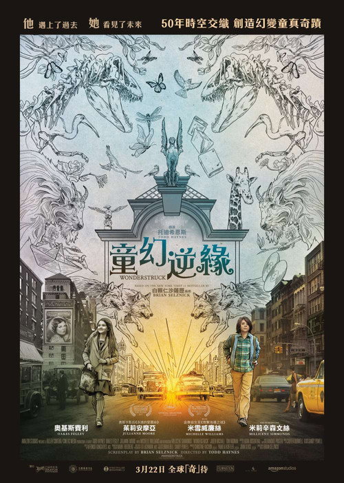 寂静中的惊奇电影海报