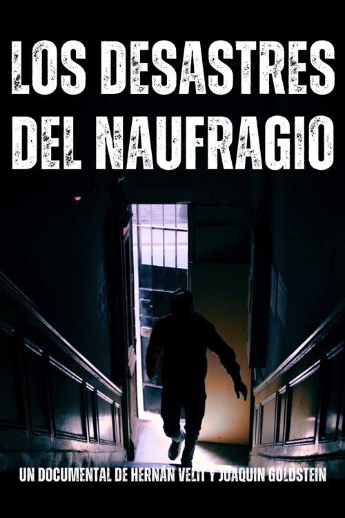 Los desastres del naufragio电影海报