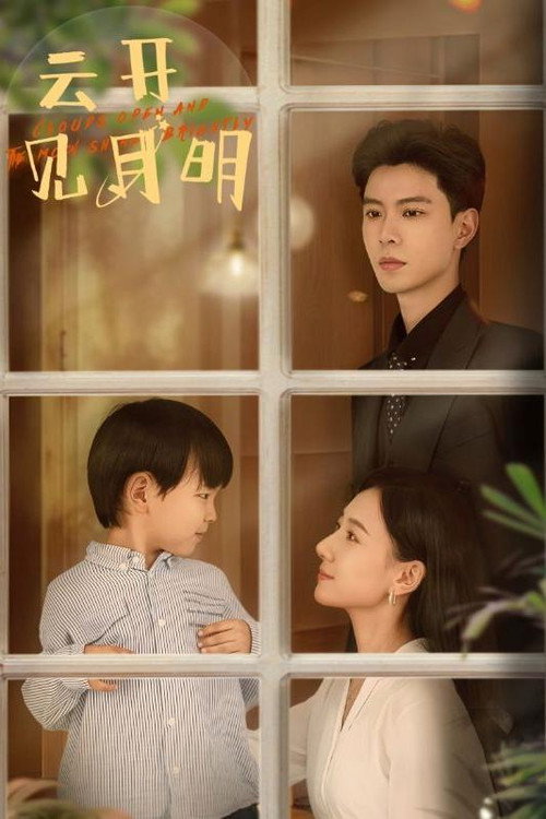 云开见月明电影海报