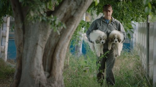 Unsere große kleine Farm (2019) Voller Film-Stream online anschauen