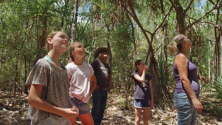 Izzy's Koala World - En İyi Arkadaşlar