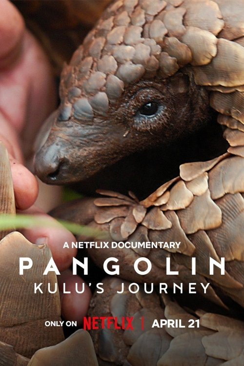 Cinefrex Pangolin: Kulu's Journey Poster