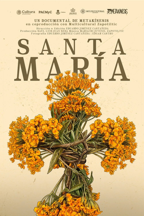 Santa Mar&iacute;a电影海报