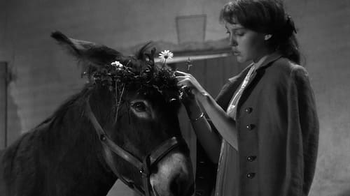 Au Hasard Balthazar (1966) Watch Full Movie Streaming Online