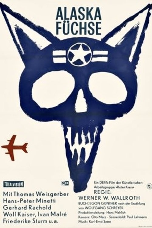 Alaskafüchse poster