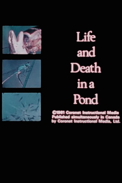 Life+and+Death+in+A+Pond