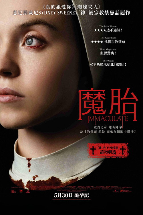 无瑕修女电影海报
