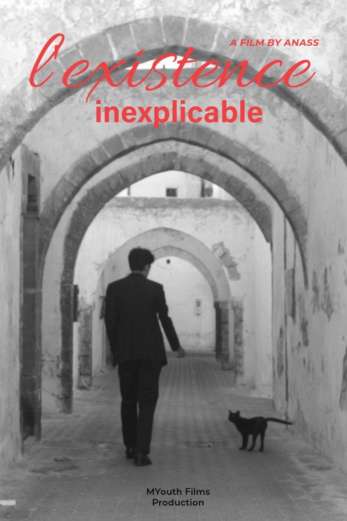 Inexplicable existence poster 3