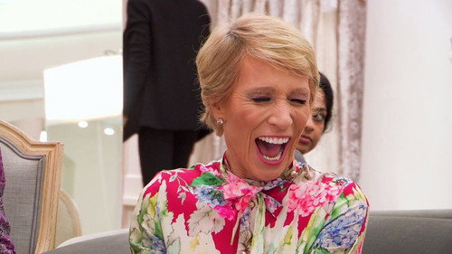 There's a Shark in the Salon!