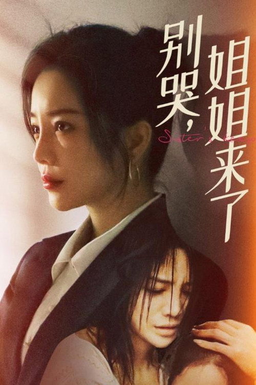 别哭，姐姐来了海报