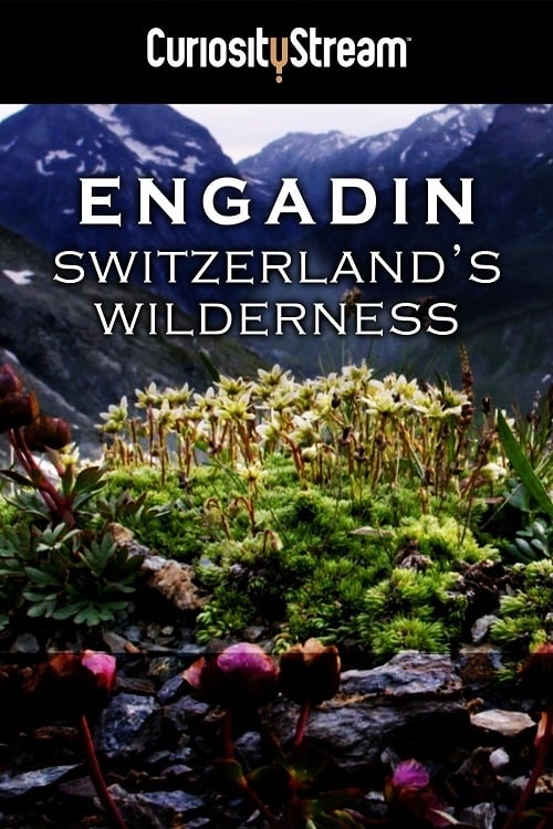 Engadin%3A+Switzerland%27s+Wilderness