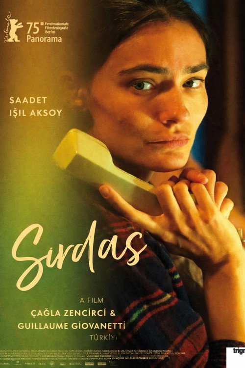 Confidente电影海报