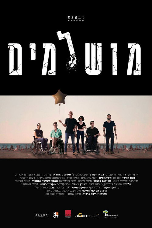 מושלמים电影海报