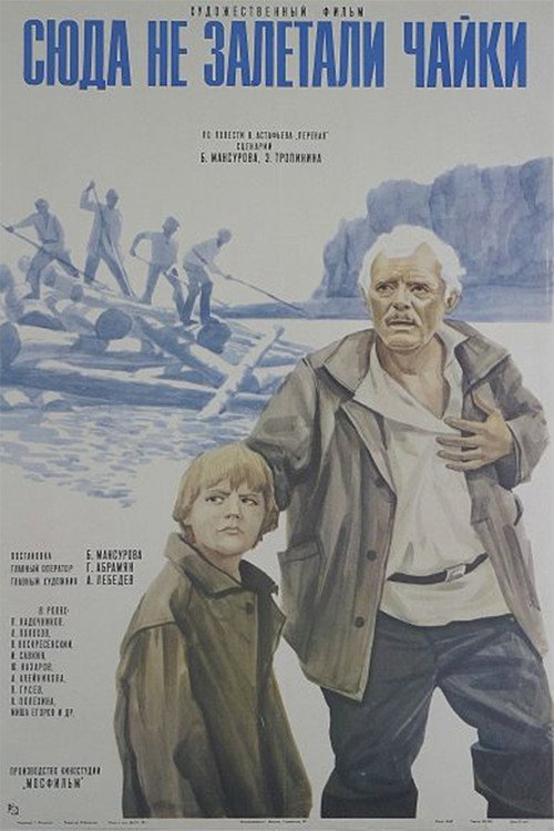 Seagulls Never Fly Here poster 2