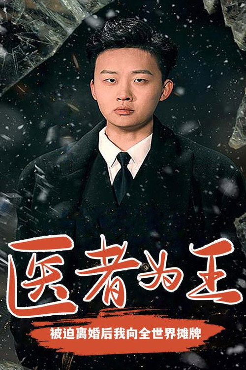 医者为王，被迫离婚后我向全世界摊牌电影海报