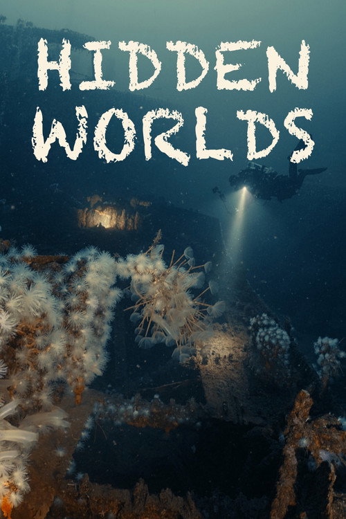 Poster for Hidden Worlds