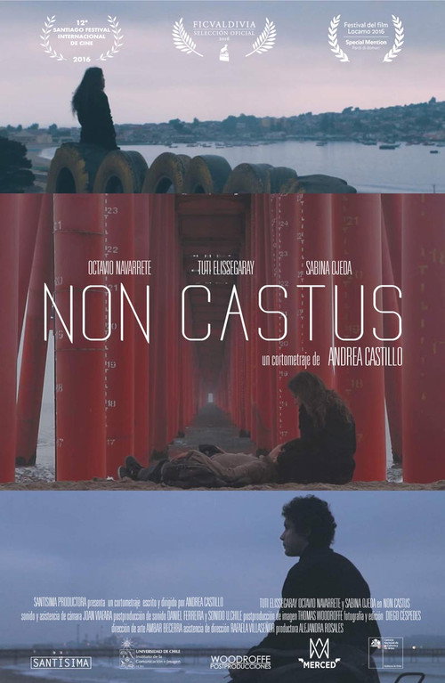 Non Castus Poster