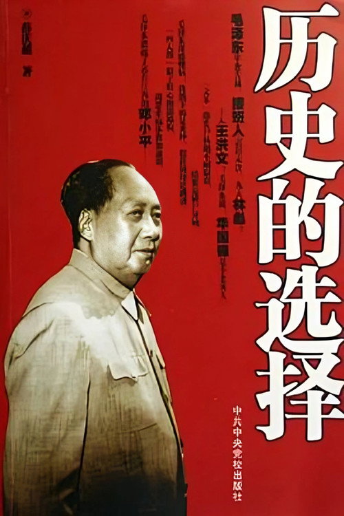 历史的选择电影海报