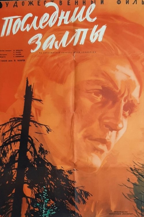 Last Salvos Poster
