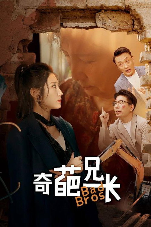 奇葩兄长电影海报