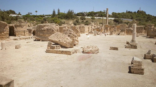The Carthaginians