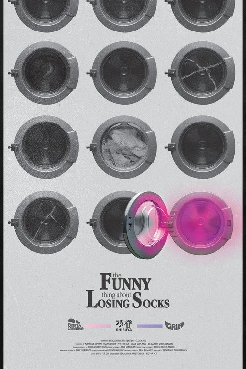 The Funny Thing About Losing Socks poster 2