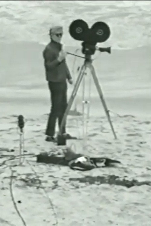 Andy Makes a Movie poster 2
