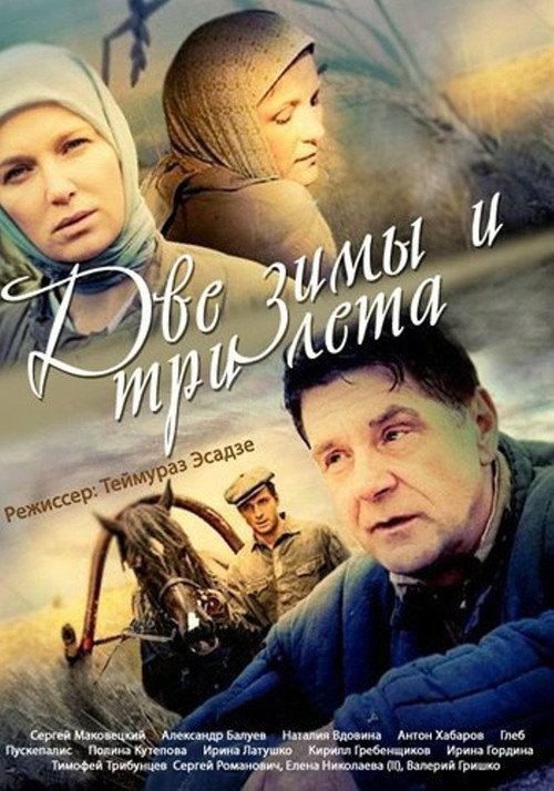 Две зимы и три лета电影海报