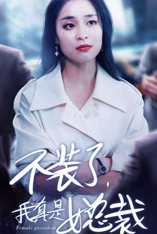 不装了，我真是女总裁电影海报