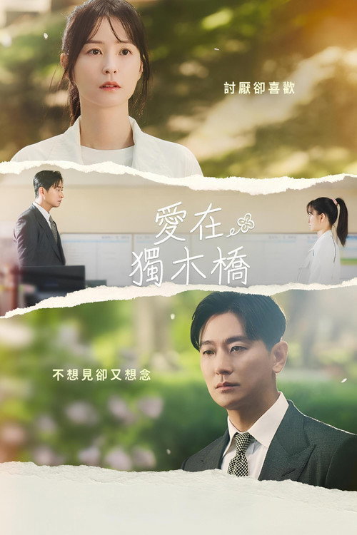 爱在独木桥电影海报